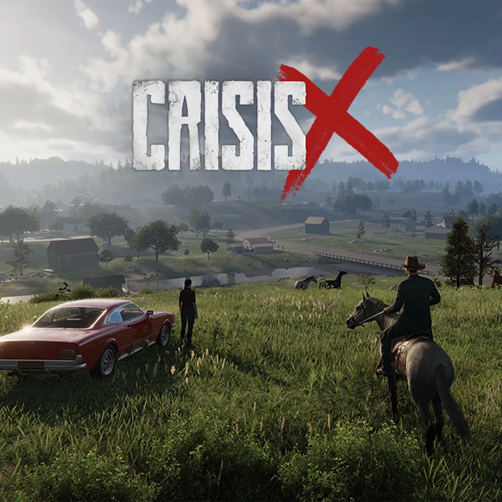 CrisisX